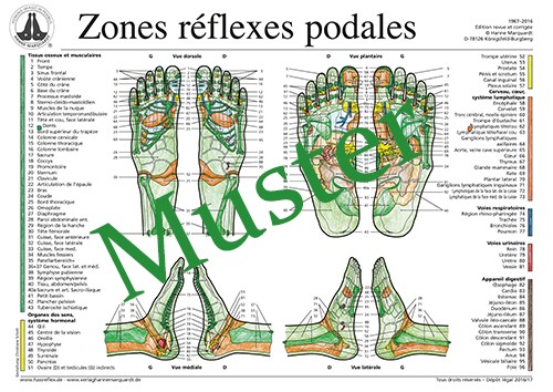 Zones réflexes podales (Francais)